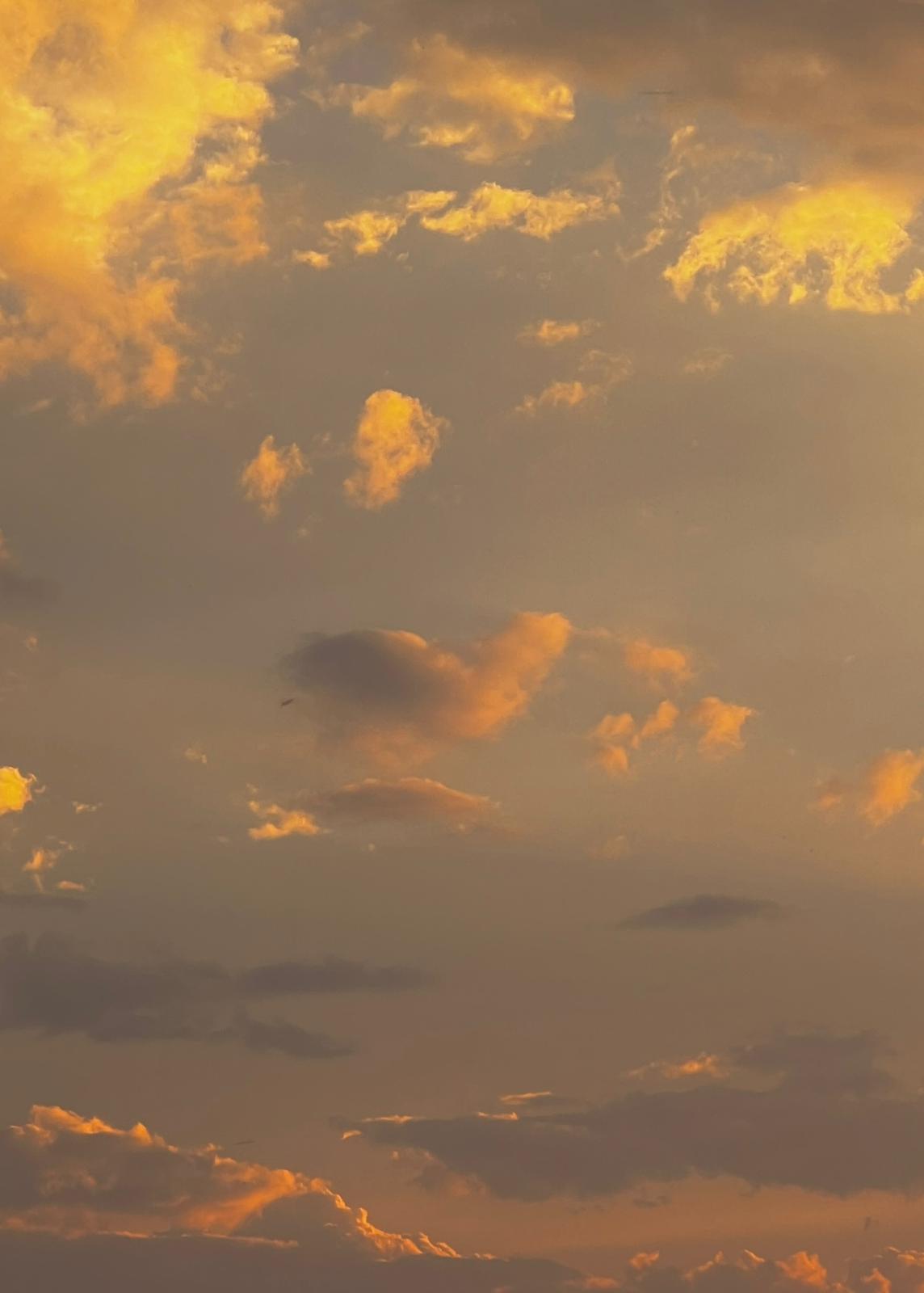 Better-Me Planner 2026